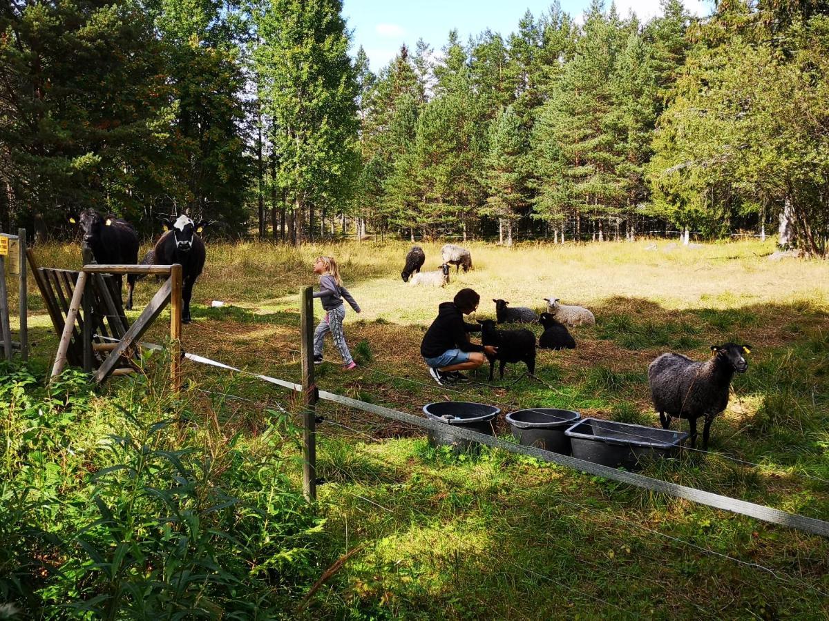 Trysunda Vandrarhem & Skaergardscafe Zewnętrze zdjęcie